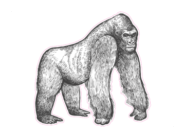 Muursticker Gorilla tekening