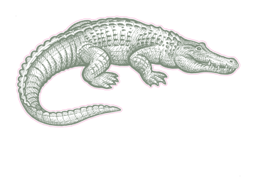 Muursticker Krokodil tekening