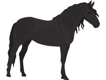 Muursticker fries paard lang haar