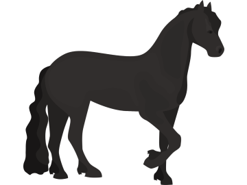 Muursticker fries paard kort haar