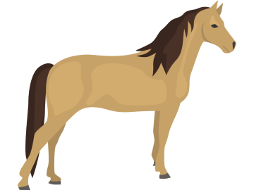 Muursticker blond bruin paard