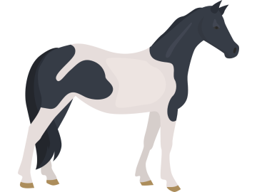 Muursticker zwart gevlekt paard