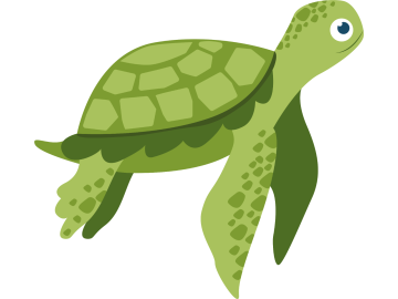 Muursticker schildpad