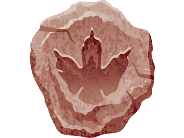 Muursticker fossiel poot afdruk bruin