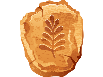 Muursticker fossiel plant