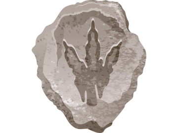 Muursticker fossiel poot afrduk grijs