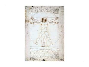 Muursticker mens van leonardo da vinci